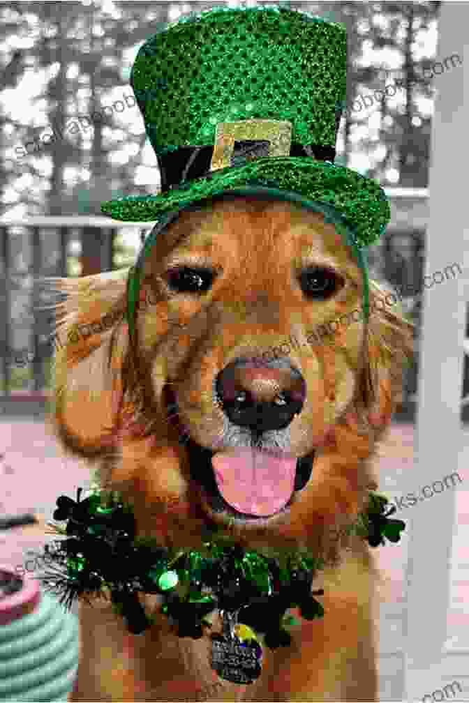 A Friendly Golden Retriever Wearing A Green St. Patrick's Day Bandana Greets People At The Door Of A House St Patrick S Day Door Greeter: Plastic Canvas Pattern