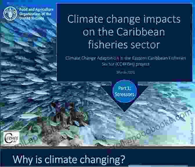 A Group Of Scientists Discussing Climate Change Impacts On Fisheries, Highlighting The Need For Adaptive Management Strategies. King Crabs Of The World: Biology And Fisheries Management