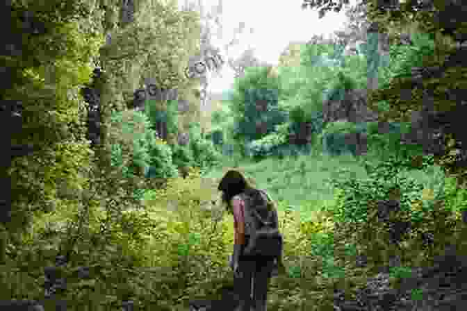 A Hiker Enjoying A Scenic Trail Through A Lush Forest. Rediscovering America: Exploring The Small Towns Of Virginia Maryland