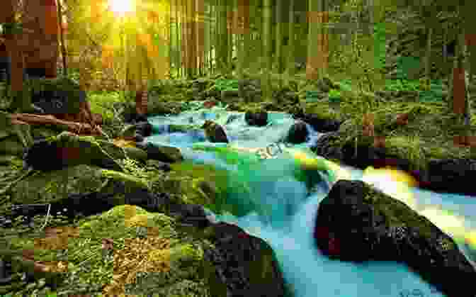 A Meandering River Flowing Through A Lush Forest Blue Walkabout: A Time On The Waters