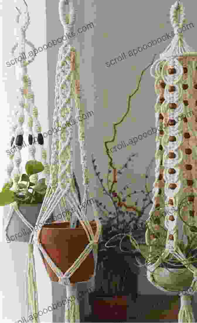 A Photo Of A Stylish Crocheted Plant Hanger With A Bohemian Aesthetic Learn To Needle Felting: Detail Tutorials For Beginners With Simple Patterns: Needle Felting Projects