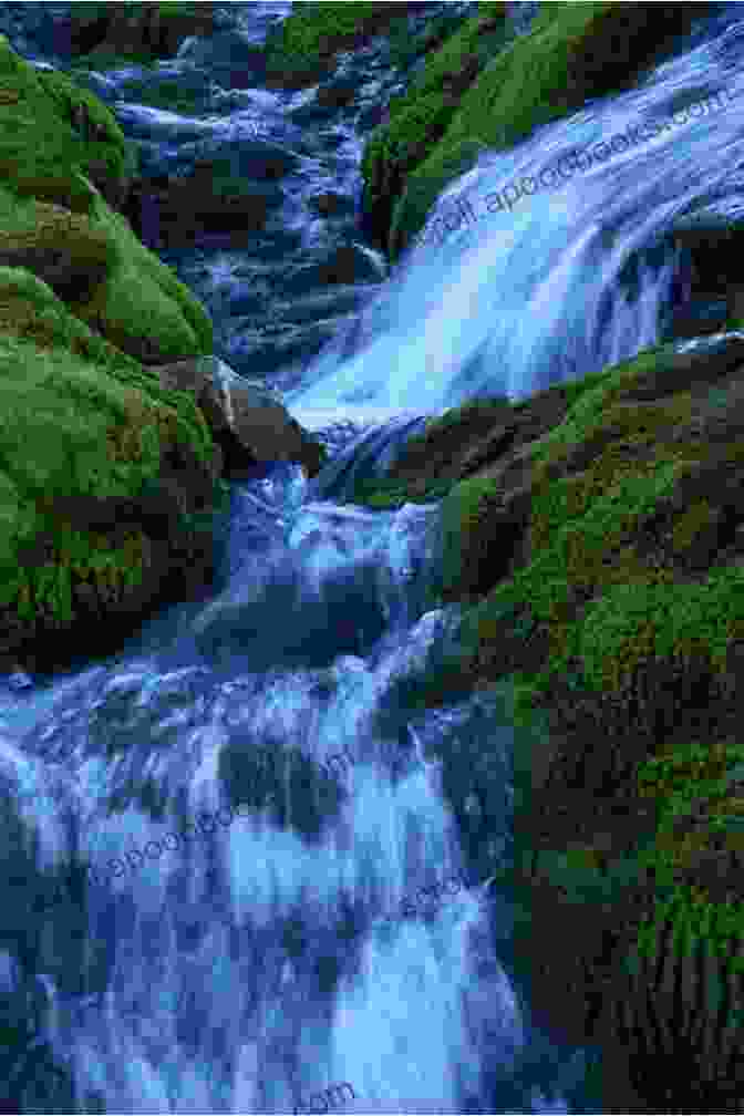 A Serene Image Of A River Flowing Through A Meadow, Symbolizing The Transformative Power Of Worship Renewal. Following The River: A Vision For Corporate Worship