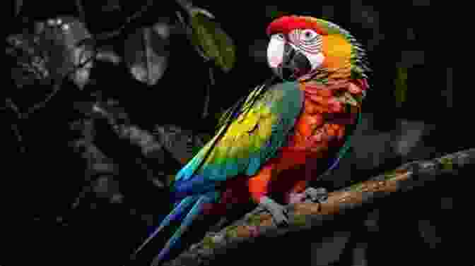 A Vibrant Green Parrot Perched On A Branch With Colorful Feathers And An Intelligent Gaze How To Take Care Of Your Parrot