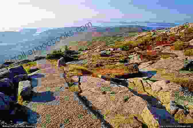 Acadia National Park Planning Guide Cover A Captivating Photograph Of Cadillac Mountain Summit In Autumn Acadia National Park: Planning Guide