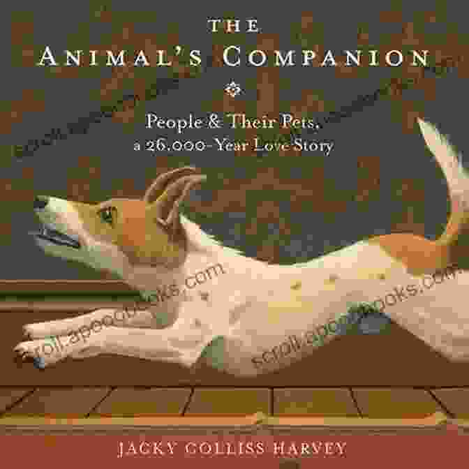 Cover Of 'The Animal Companion' Book The Animal S Companion: People Their Pets A 26 000 Year Love Story