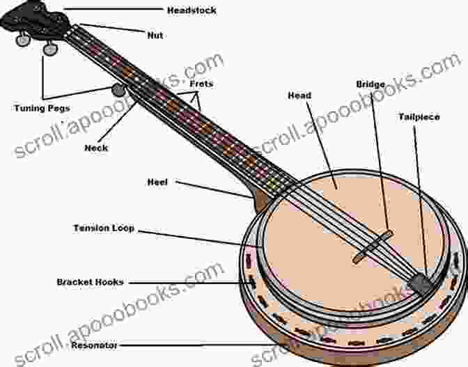 Detailed Diagram Of Banjo Anatomy Absolute Beginners Banjo: The Complete Picture Guide To Playing The Banjo