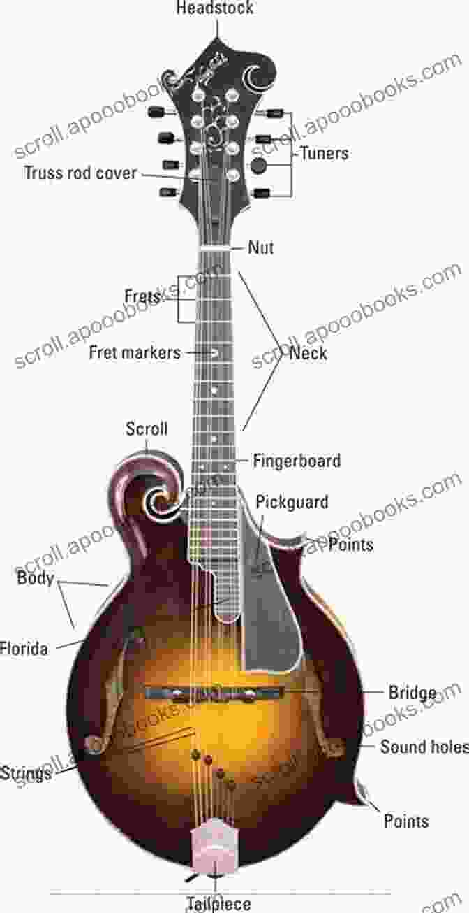 Diagram Of Mandolin Parts Learn To Play Bluegrass Mandolin