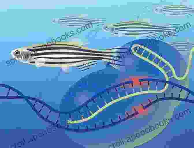 Genomics Research In Fish Genetics Genomics And Fish Phenomics (ISSN 95)