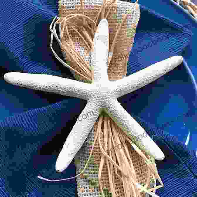 Gifts From The Sea Napkin Holder Featuring Seashells And Starfish Gifts From The Sea Napkin Holder: Plastic Canvas Pattern