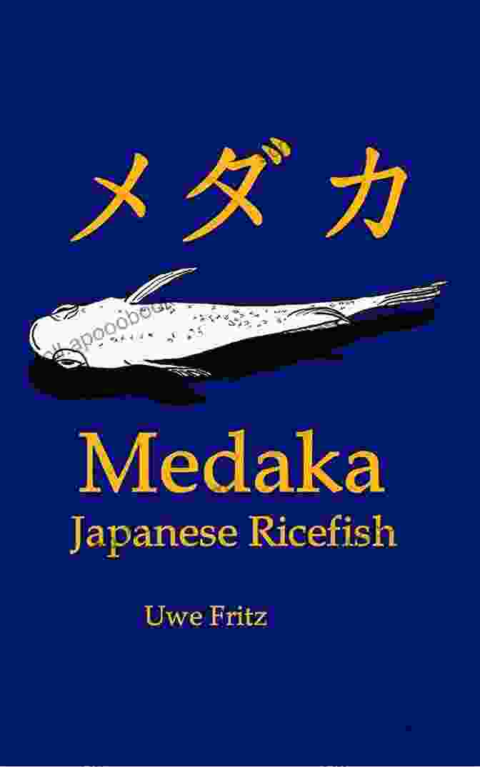 Medaka: A Comprehensive Guide To Japanese Ricefish By Uwe Fritz Medaka: Japanese Ricefish Uwe Fritz