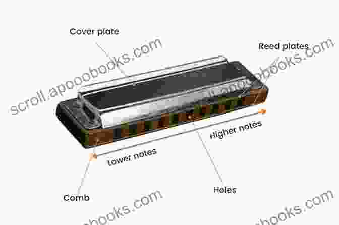 Parts Of A Harmonica How To Play Harmonica For Beginners: A Step By Step Guide On How To Play Harmonica As A Complete Beginner (Including Sample Songs To Get You Started)