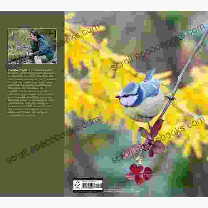 RSPB Garden Birds Expert RSPB Garden Birds (RSPB Spotlight)