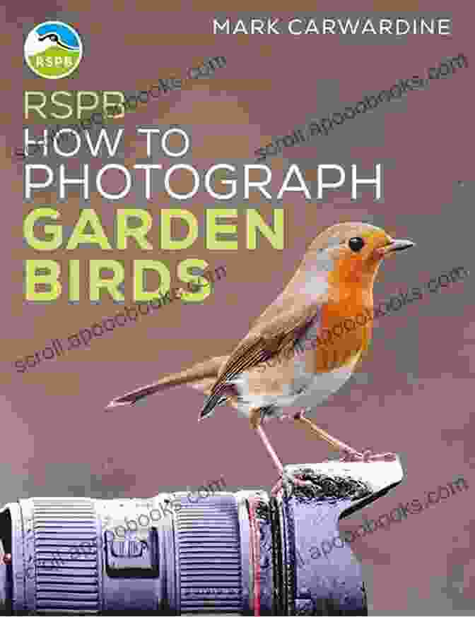 RSPB Garden Birds Photograph RSPB Garden Birds (RSPB Spotlight)