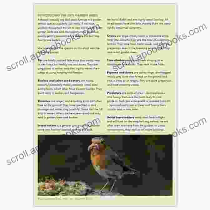 RSPB Garden Birds Spotlight RSPB Garden Birds (RSPB Spotlight)