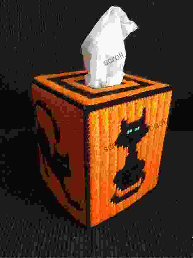 Spooky Halloween Boutique Tissue Box Cover With Intricate Black Cat Silhouette Spooky Halloween Boutique Tissue Box Cover: Plastic Canvas Pattern