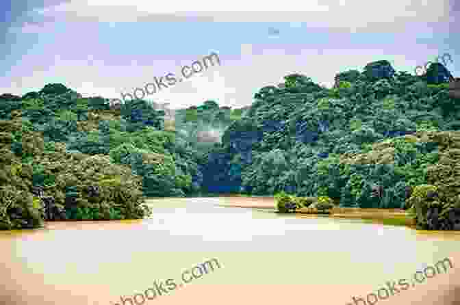 The Lush Rainforest Around Gatun Lake, A Testament To The Environmental Impact Of The Panama Canal The Path Between The Seas: The Creation Of The Panama Canal 1870 1914