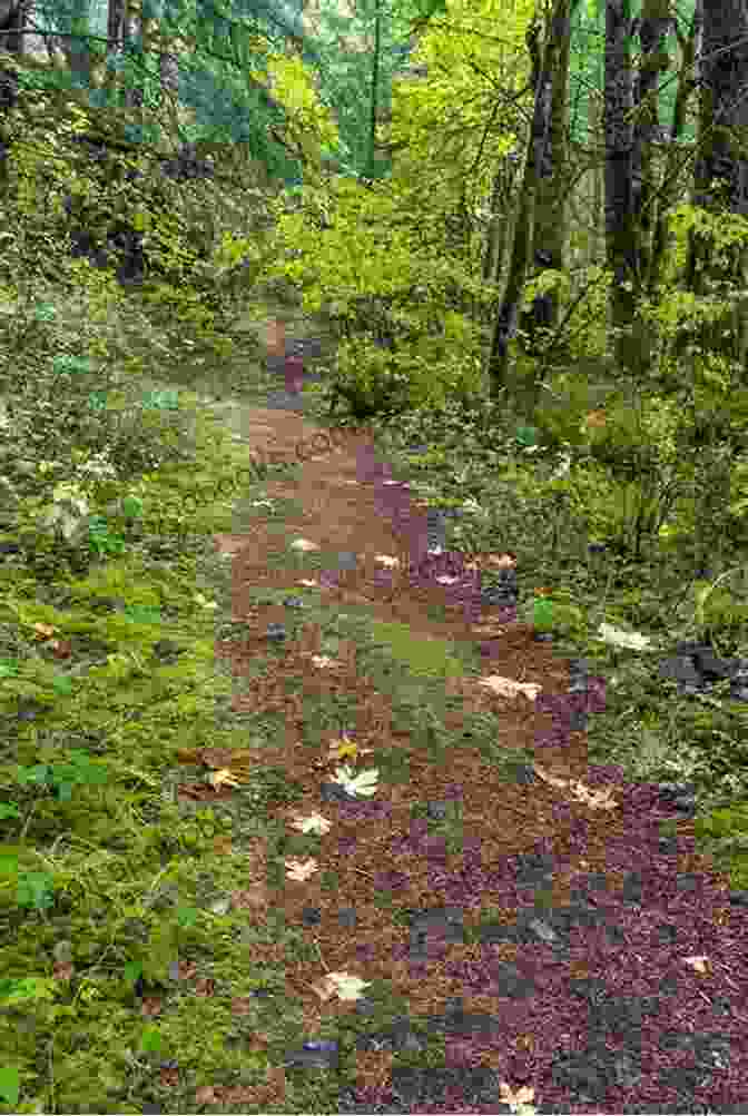 Trail Leading Through A Forest 50 Hikes With Kids New York Pennsylvania And New Jersey