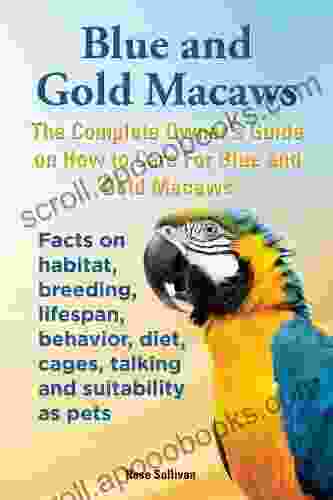Blue And Gold Macaws Karen Anne Golden