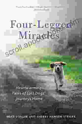 Four Legged Miracles: Heartwarming Tales Of Lost Dogs Journeys Home