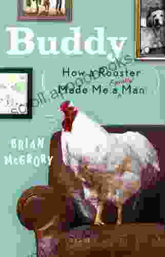 Buddy: How A Rooster Made Me A Family Man