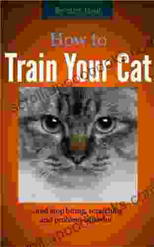 How To Train Your Cat And Stop Biting Scratching And Problem Behavior