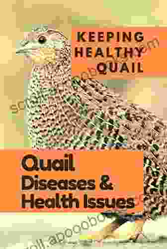 Quail Farming For Beginners: KEEPING HEALTHY QUAIL : ( Quail Diseases Health Issues )