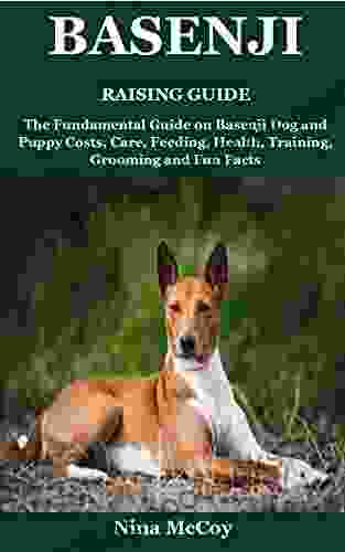 Basenji Raising Guide: The Fundamental Guide On Basenji Dog And Puppy Costs Care Feeding Health Training Grooming And Fun Facts