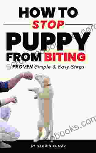 How To Stop A New Puppy From Biting: Proven Simple Easy Steps Tips That Really Work To Stop Your Puppy s Biting Dog Training Ideas