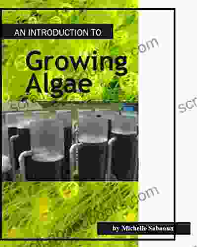 An Introduction to Growing Algae