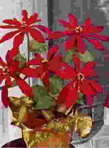 Poinsettia Plant Crochet Christmas Pattern Vintage Christmas Pattern